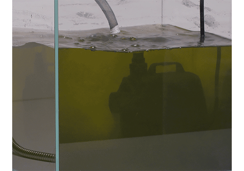 SY1_2009043_d3.gif